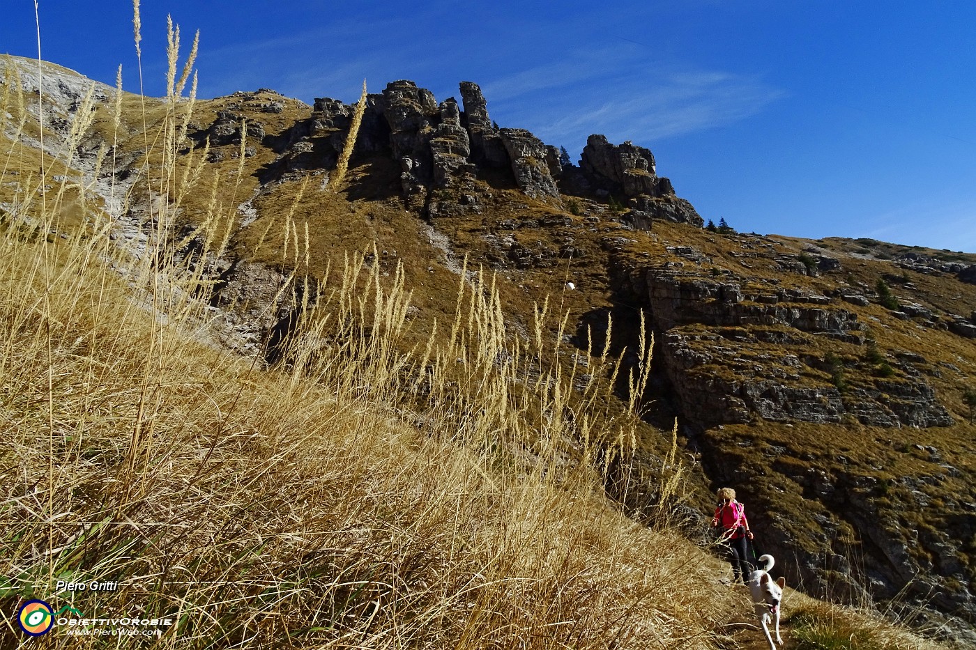 20 Alti steli d'erba secca con rocce del Menna.JPG -                                